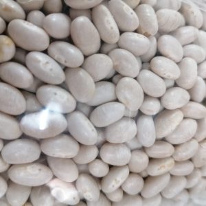 Small White Beans
