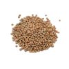Lentils Brown
