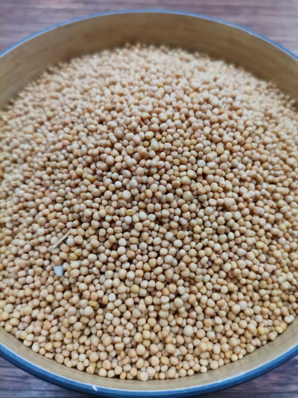 Yellow Mustard Seeds