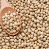 Soy Beans