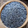 Blue Poppy Seed